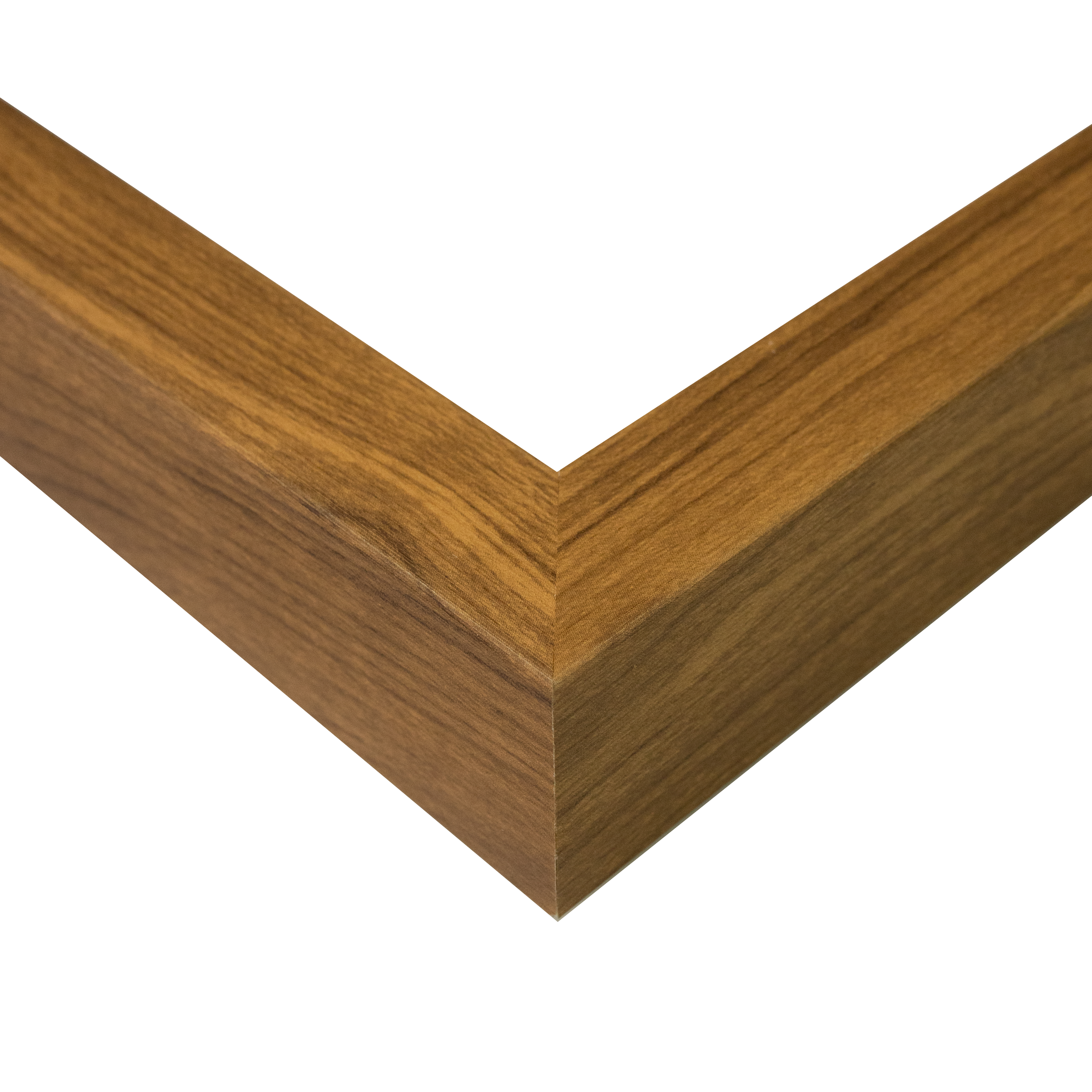 Jesus, Our Friend - Framed/Unframed Wall Art - LDP-ART-DA-JOF