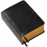 Spanish Simulated Leather Quad 