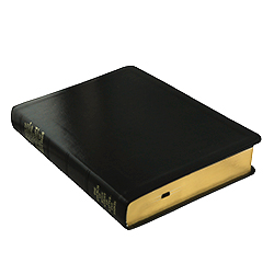 Simulated Leather Triple 